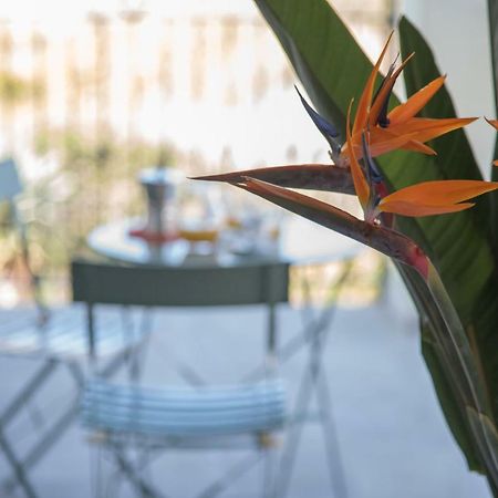 La Strelitzia Cervo Mare Apartment Exterior foto
